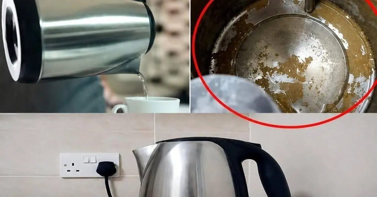 Check Your Kettle Today! These 4 Types May Be Hiding Serious Health Risks.