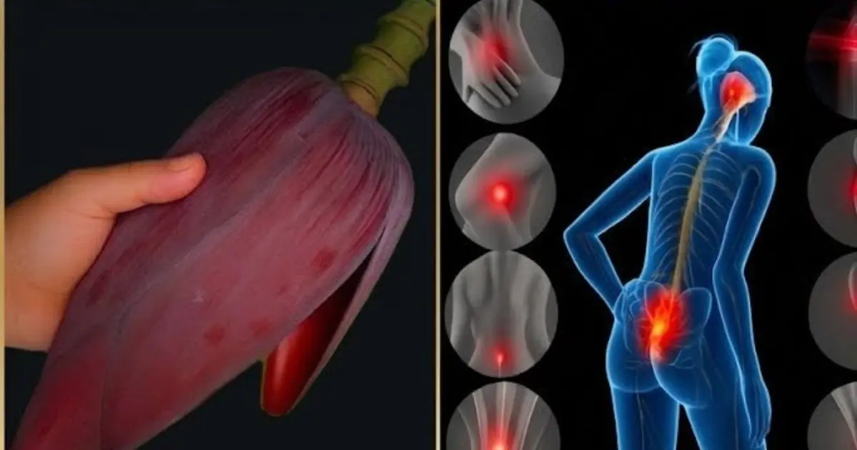 How Banana Blossoms May Support Overall Health and Well-Being...