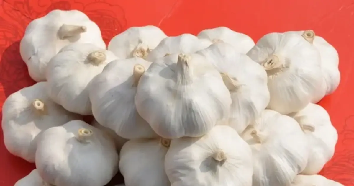 What Could Garlic Cooked in Ghee Do for Your Body?