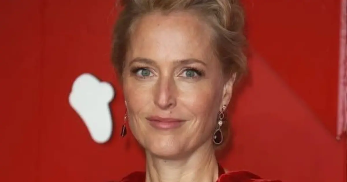 Gillian Anderson Opens Up About Identifying as Pansexual at 58