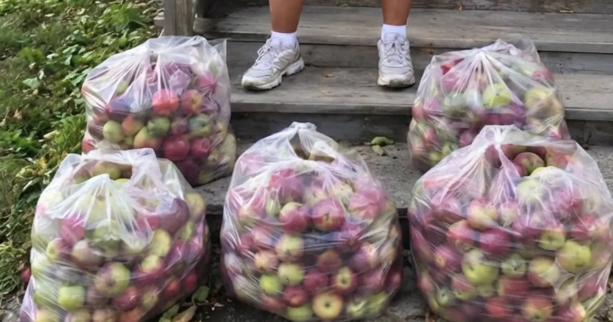 My Neighbor Cleared Out My Garden While I Was Away — What I Did the Next Morning Left Her Speechless