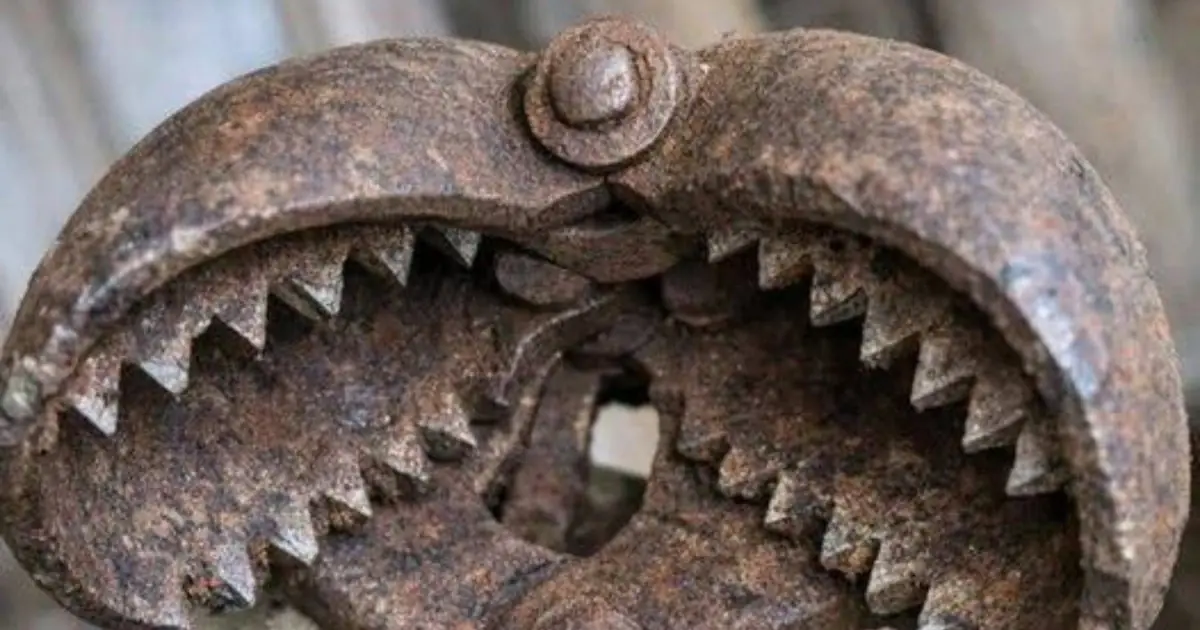 An Old Barn Discovery Has Everyone Asking: What Is This Strange Iron Tool?