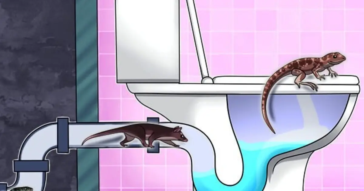 5 Creatures That Can Enter Through Your Toilet — And How to Keep Them Out