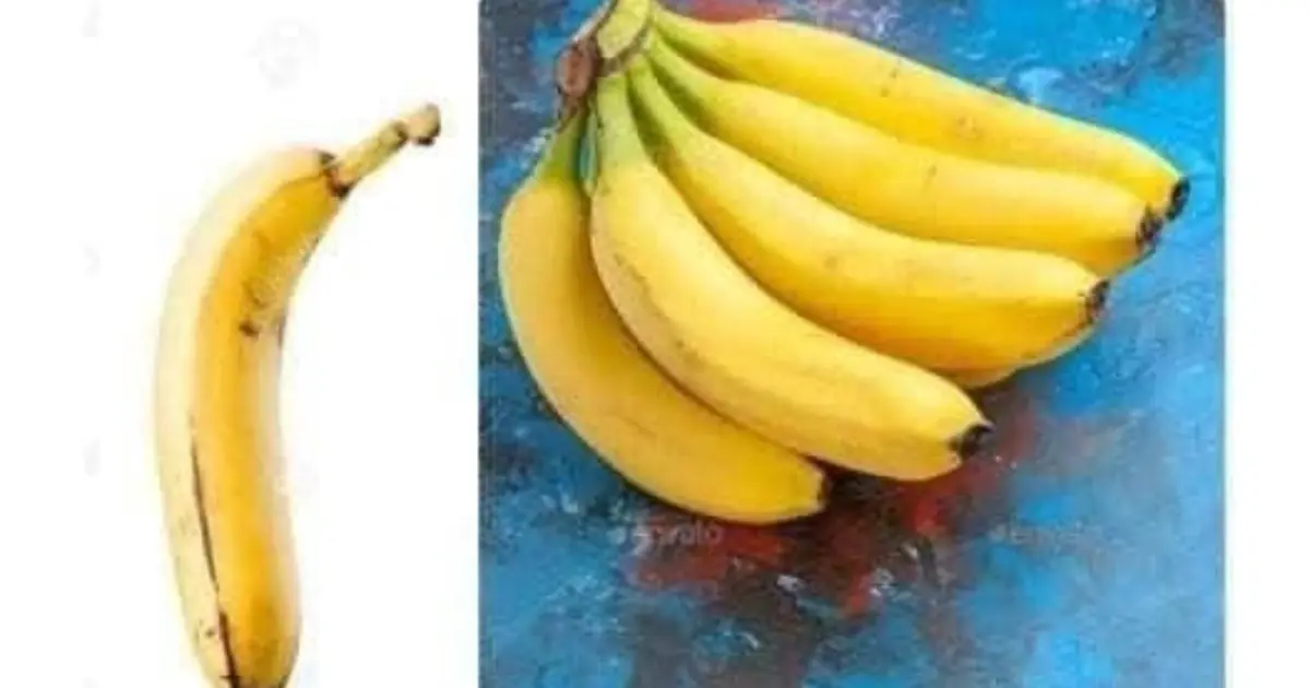 Did You Know That If You Eat a Banana Every Day, Your Body Can Experience These Amazing Changes?