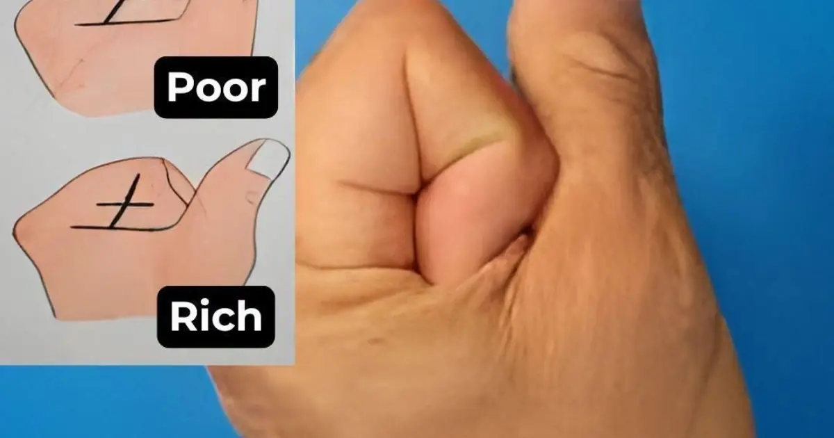 Observe the lines on your hand, it reveals the secret of your life and future...