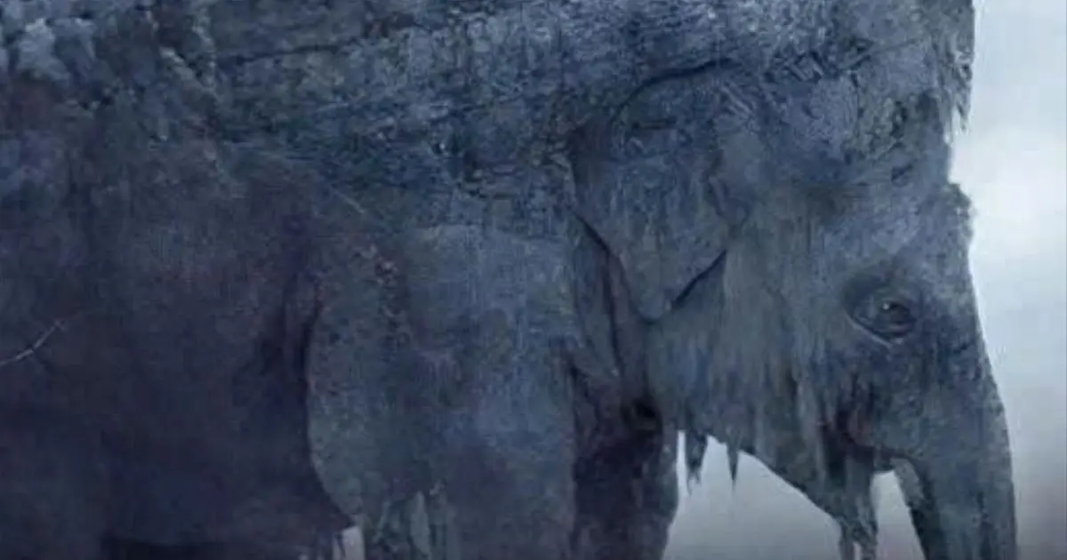 Snake or Elephant? This Viral Optical Illusion Claims to Reveal How You See the Future
