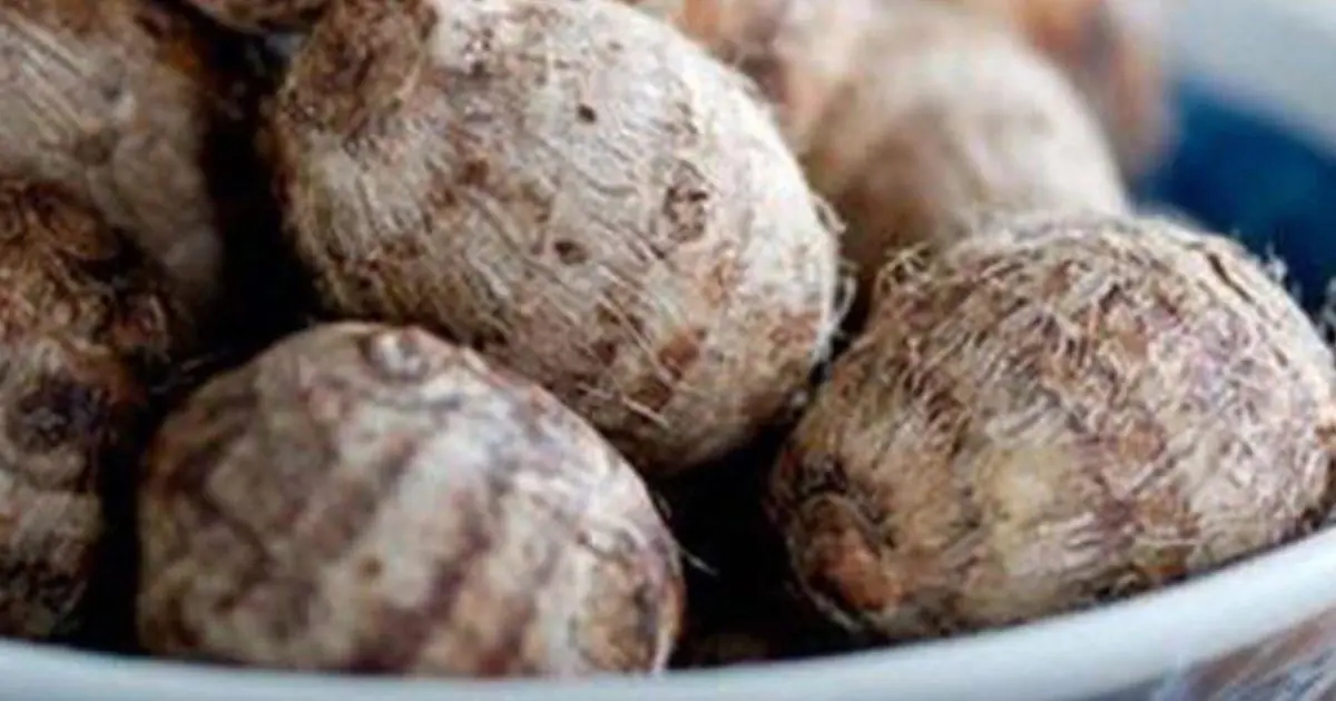 The Village With Remarkably Low Can.cer Rates: Could a Simple Root Vegetable Be Part of the Secret?