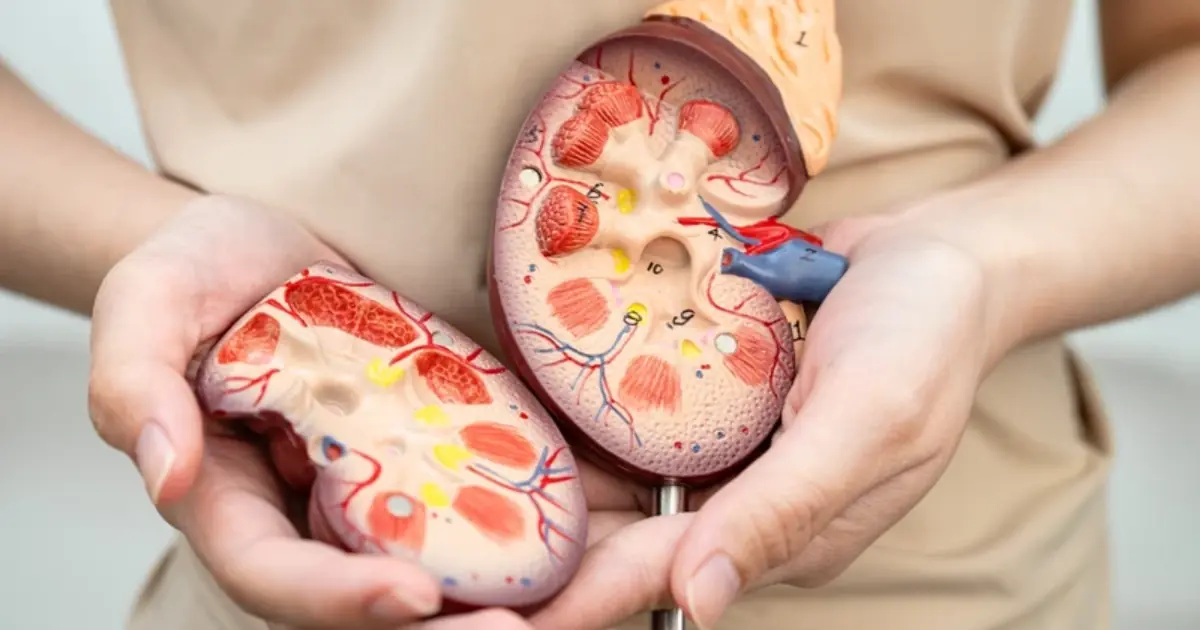 12 Subtle Signs That May Be Linked to High Creatinine and Kidney Problems