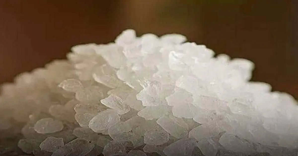 Are You Missing This Crucial Nutrient?