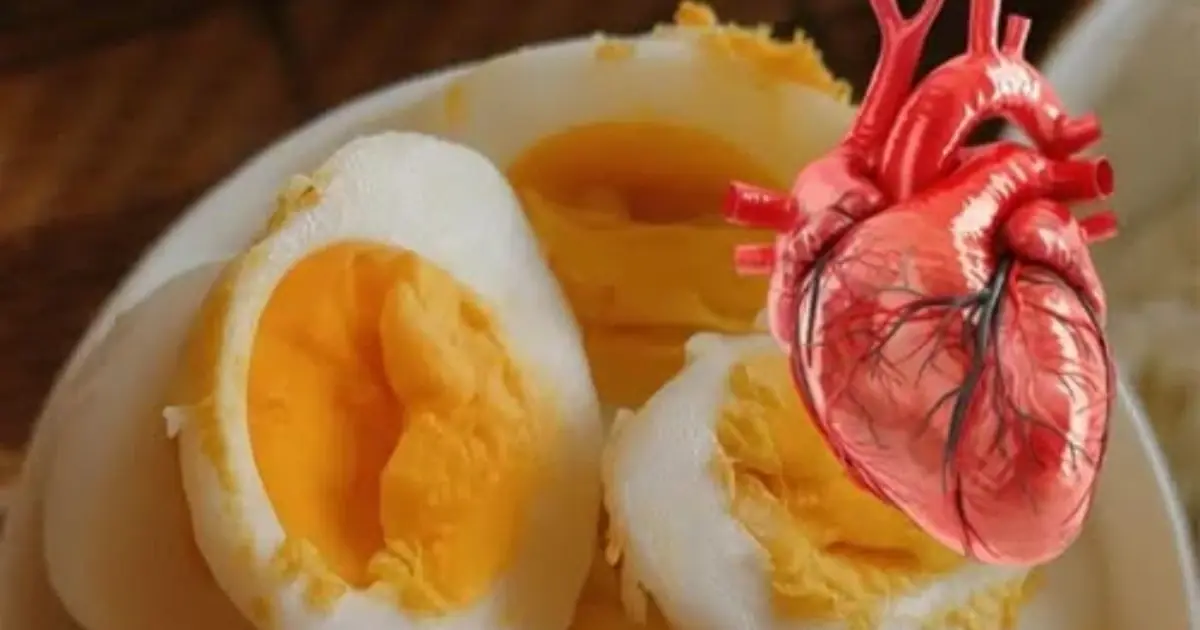 Doctors Say Eggs Can Do More Inside Your Body Than Most People Realize