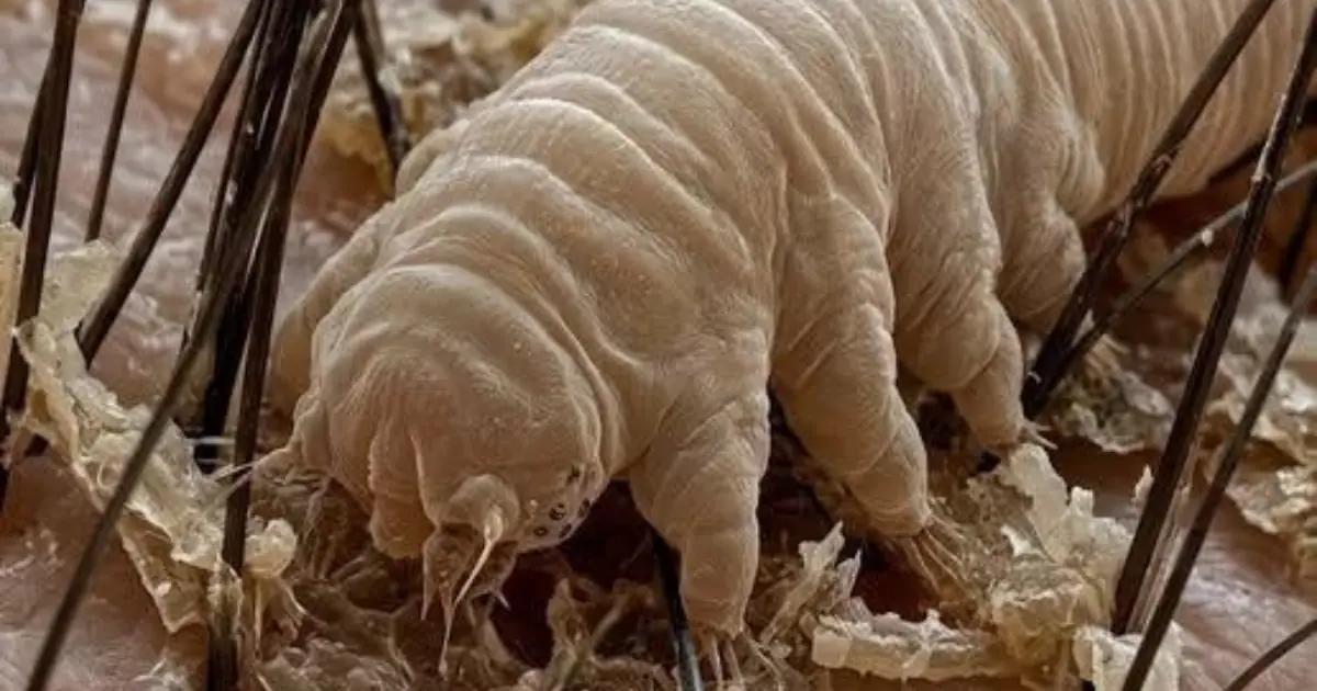 Here are the consequences of sleeping with… See more