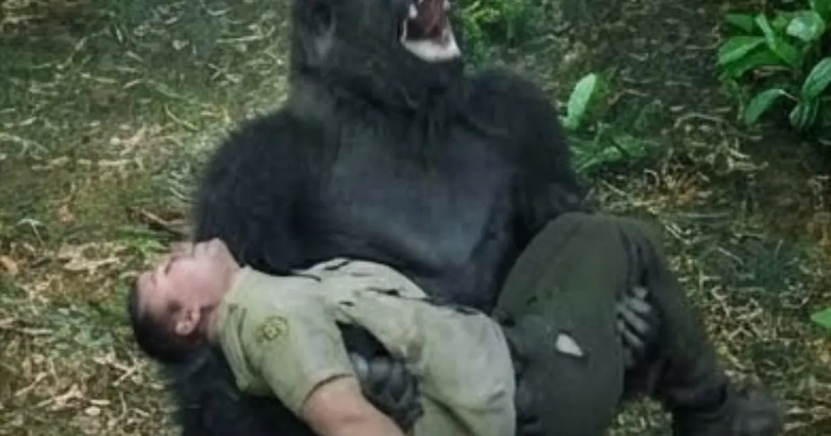 The Gorilla Suddenly Began Calling for Help — Then Everyone Saw Who He Was Trying to Lead Them Toward