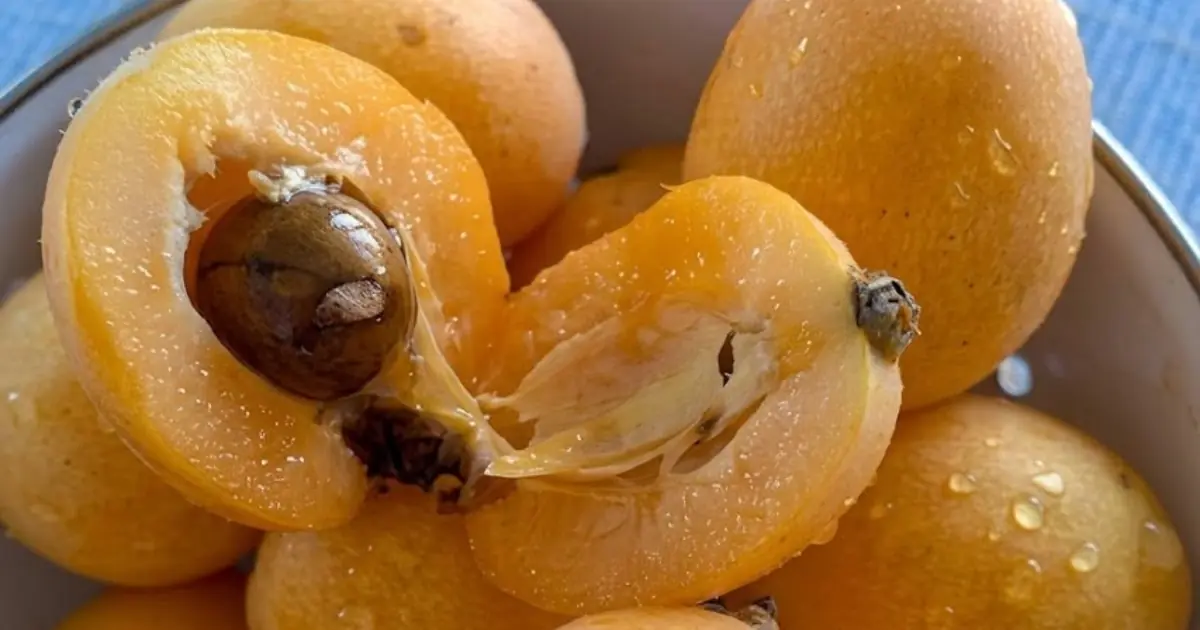 “I’ve Spent My Whole Life Searching for the Name of This Fruit” — The Sweet Tropical Fruit Many People Still Don’t Recognize