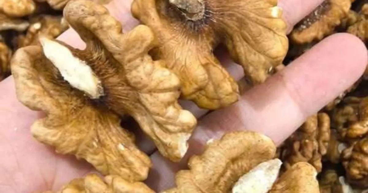 Doctors reveal that eating walnuts causes...See more 👇