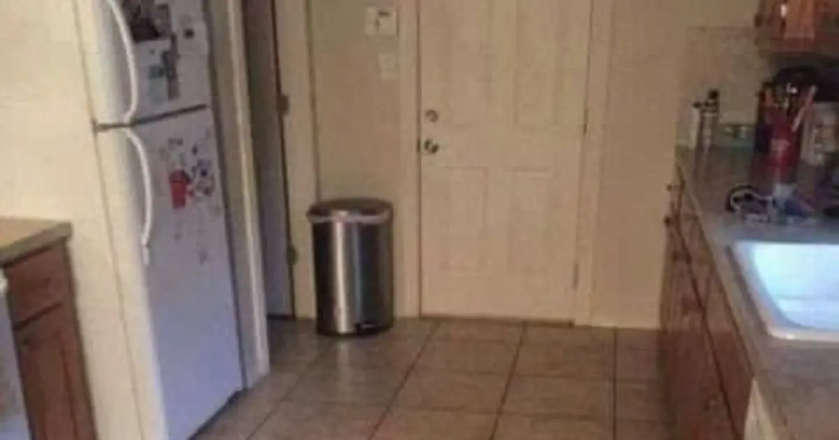 Most People Can’t Find the Dog in This Photo - Can You Spot It?