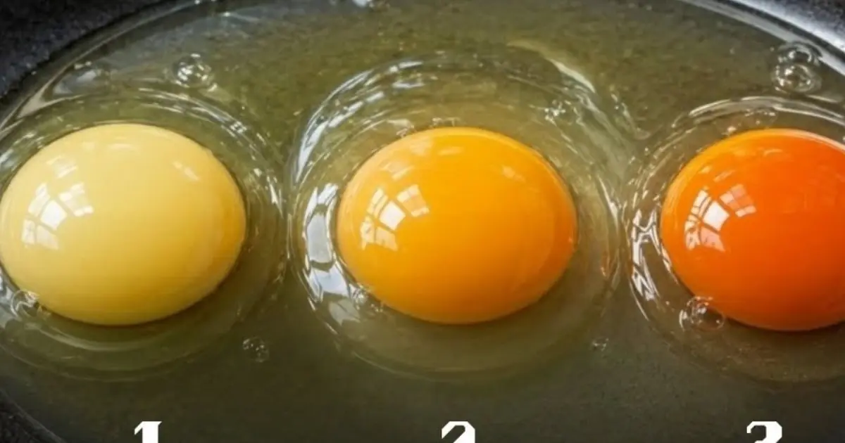 Which Egg Came From The Healthiest Chicken? Pick 1, 2, Or 3 Before Reading The Answer!