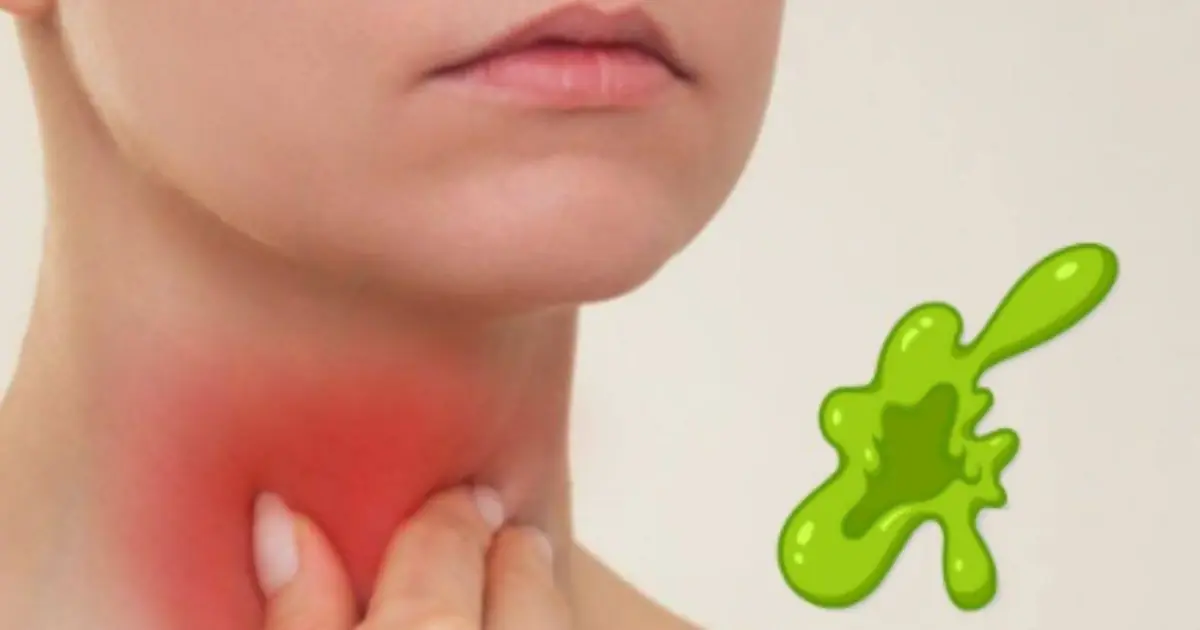 However, health experts explain that some plants naturally contain defensive chemicals that may become dangerous under specific conditions