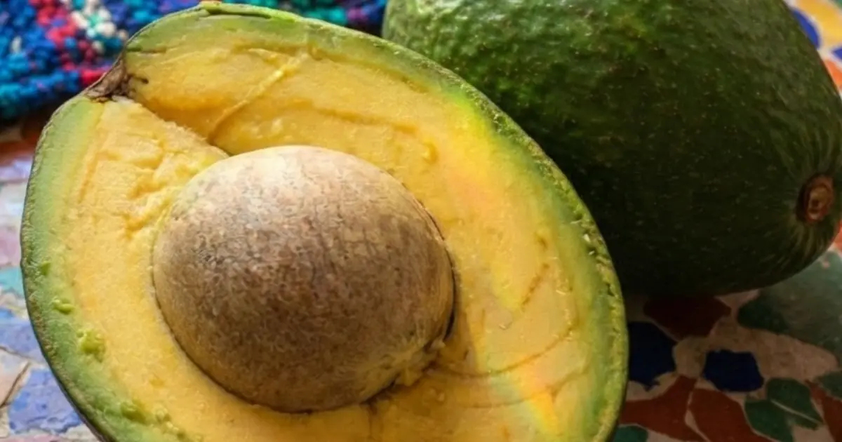 Doctors Finally Explain What Eating Avocados May Mean for Your Body