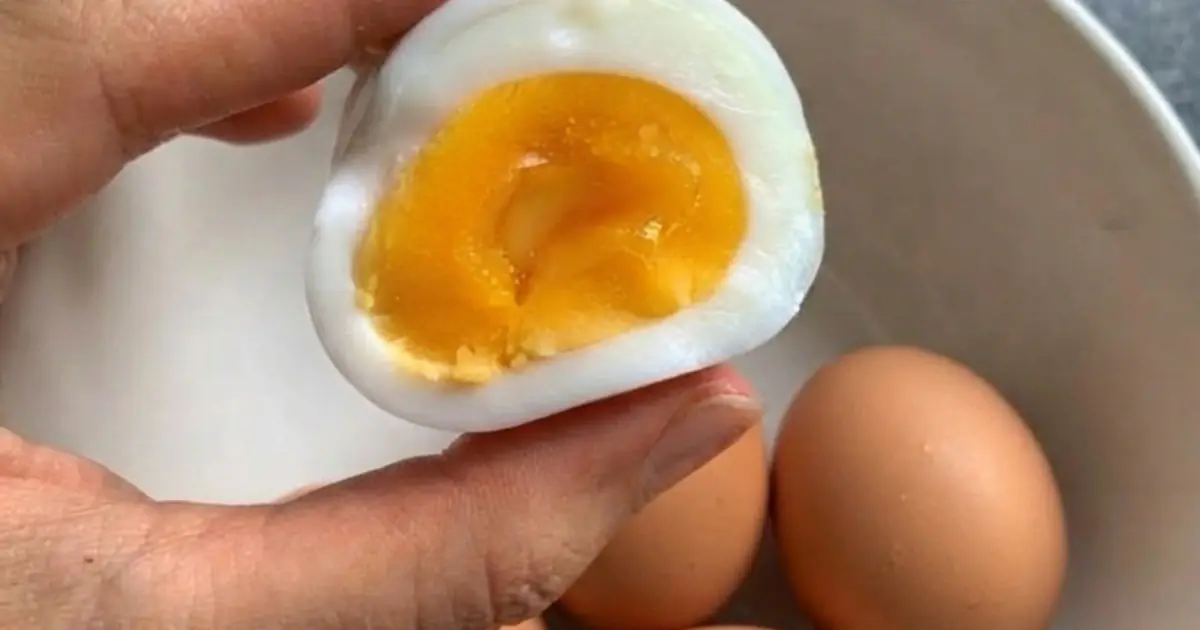 Doctors Reveal What Could Happen If You Eat Eggs for Breakfast Every Day