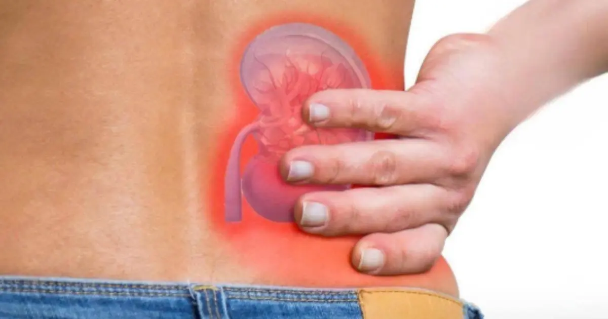 Foamy Urine: What Those Bubbles Really Mean — And When You Should See a Doctor