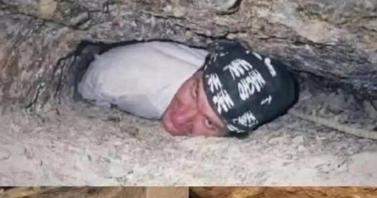 They found him and tried to rescue him, but this...See more