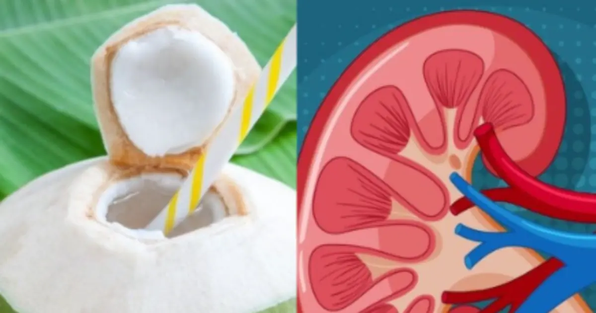 Magnesium is an essential mineral in the human body