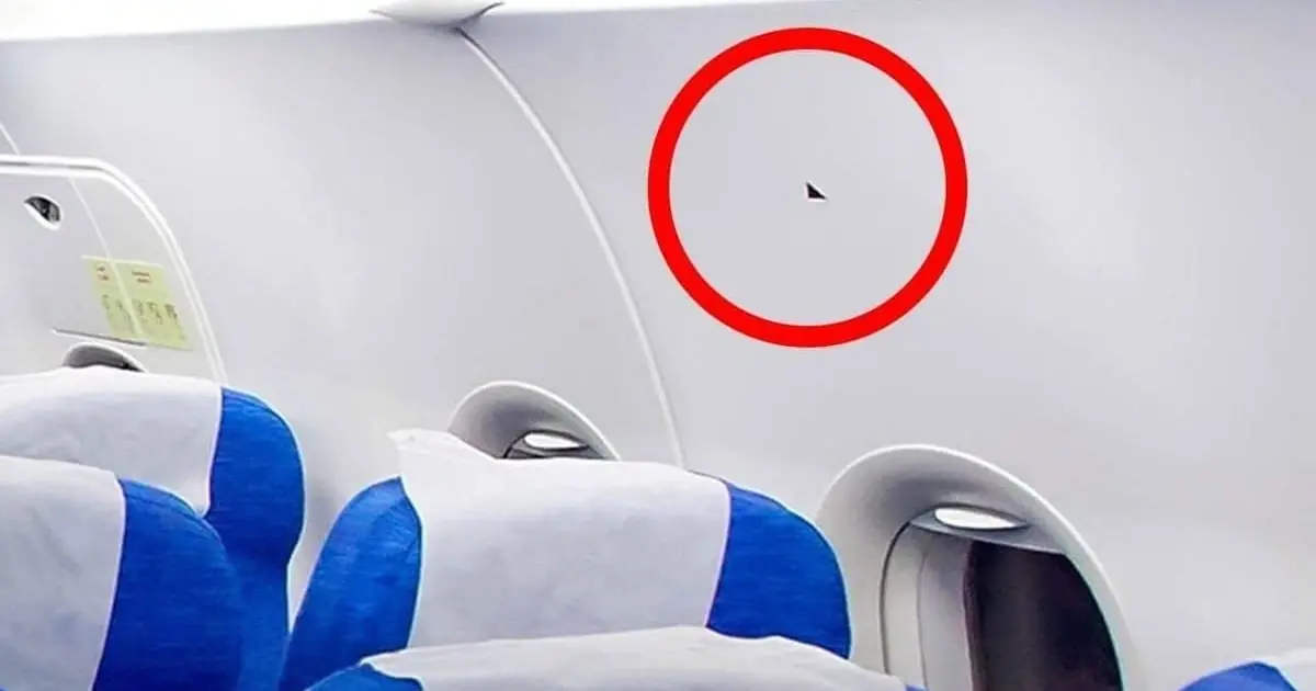 The Hidden Meaning Behind Black Triangles You See in Some Planes
