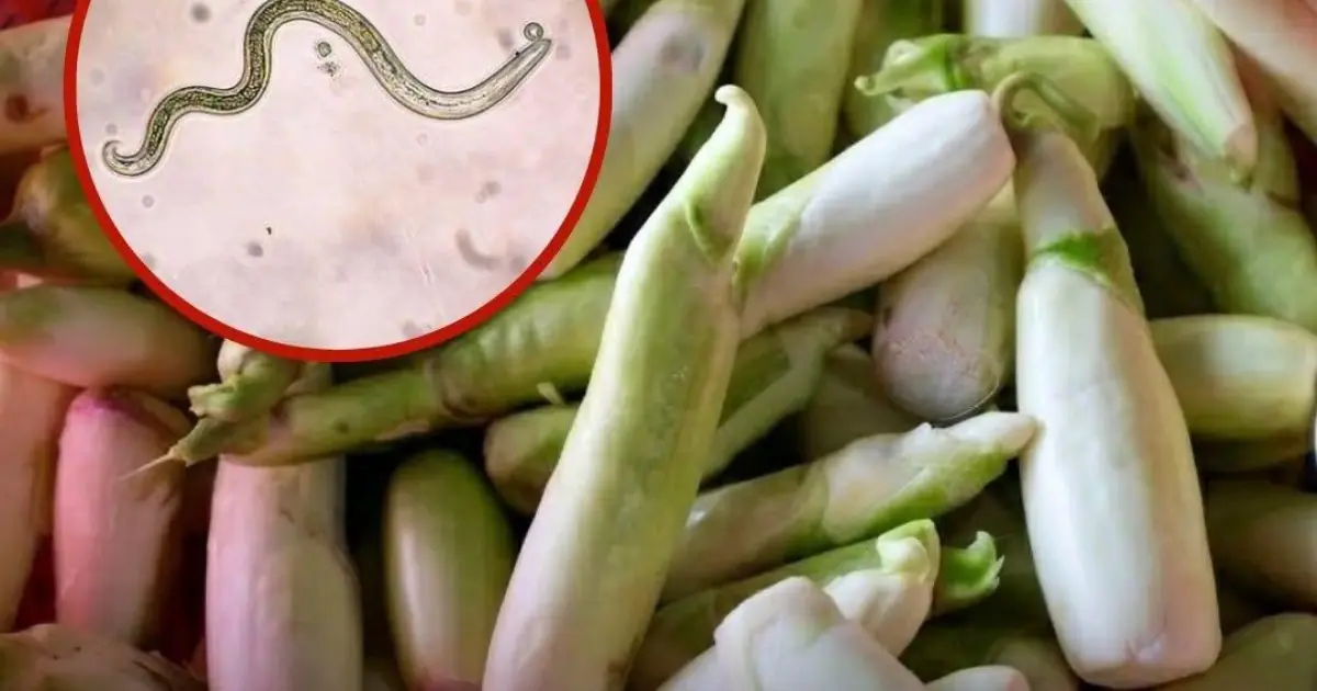The Vegetable Most Likely to Carry Parasites Is Also One Many People Love Eating Raw