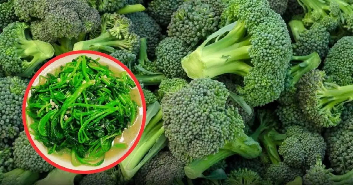 If you see this vegetable at the market, don't forget to buy it immediately! It's considered the best in the world and is excellent at fig.ht.i.ng ca.nc.e.r