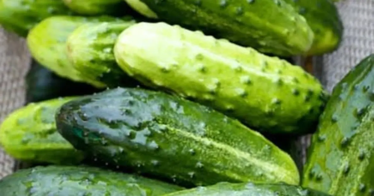 Doctors reveal that eating cucumber in salads causes... See more
