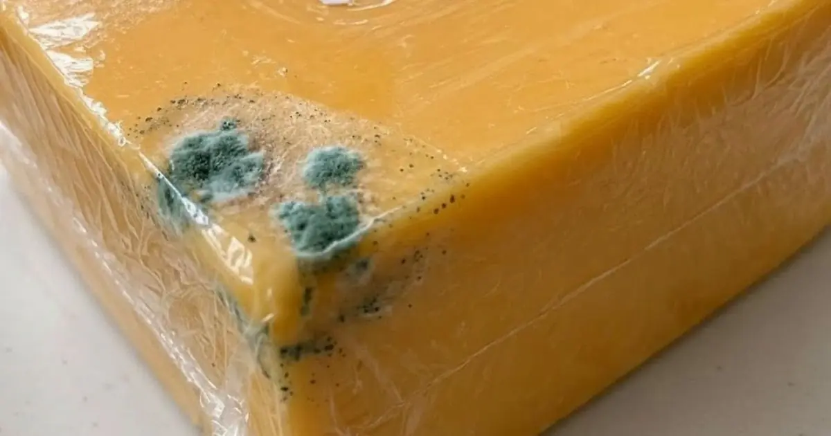 That Green Spot on Your Cheddar… Cut It Off or Toss the Whole Thing?