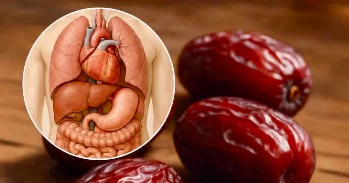 The Health Benefits of Eating Three Dates a Day: A Simple Habit With Powerful Effects