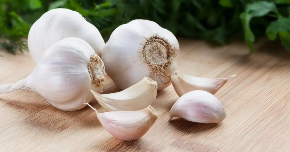 Garlic Is Healthy for Many People But Some Should Be Careful With It