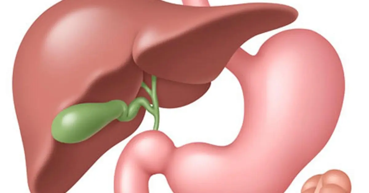 Gallbladder Removal Can Change Digestion - Here’s What You May Experience