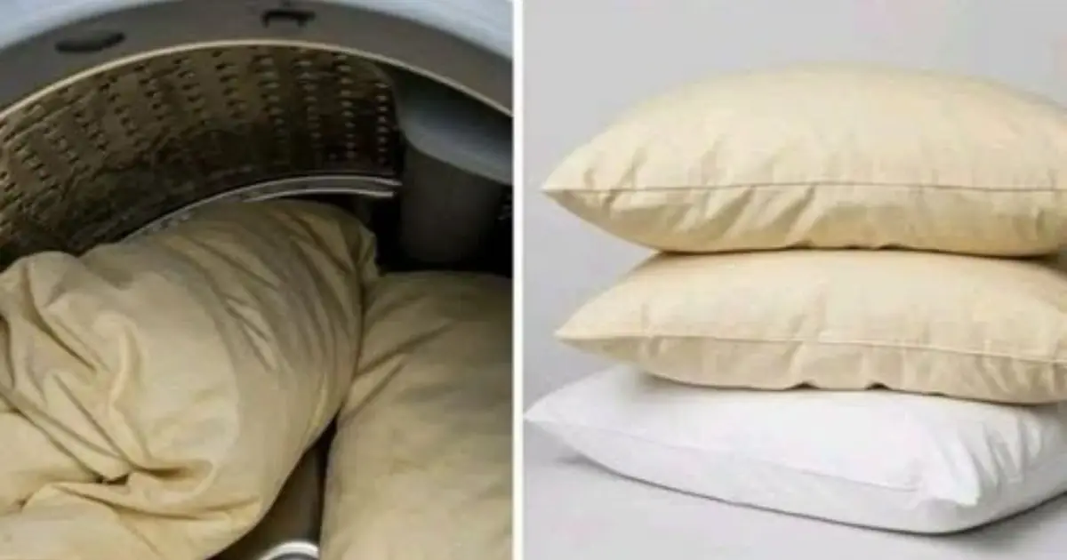 How to Wash Yellowed Pillows: 3 Simple Tricks to Make Them Look White Again
