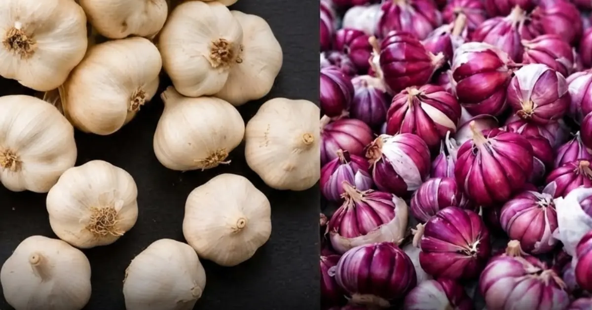 4 Garlic Mistakes Shoppers Often Make — What to Check Before You Buy