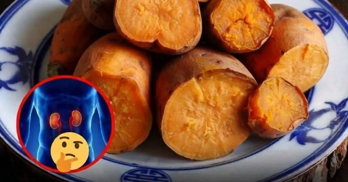 Looking for Kidney-Friendly Breakfasts? Here Are 5 Nutritious Ideas...