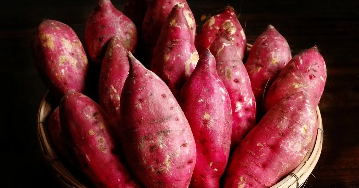 She Ate One Boiled Sweet Potato Every Morning for a Year - What Happened to Her Body Surprised Her