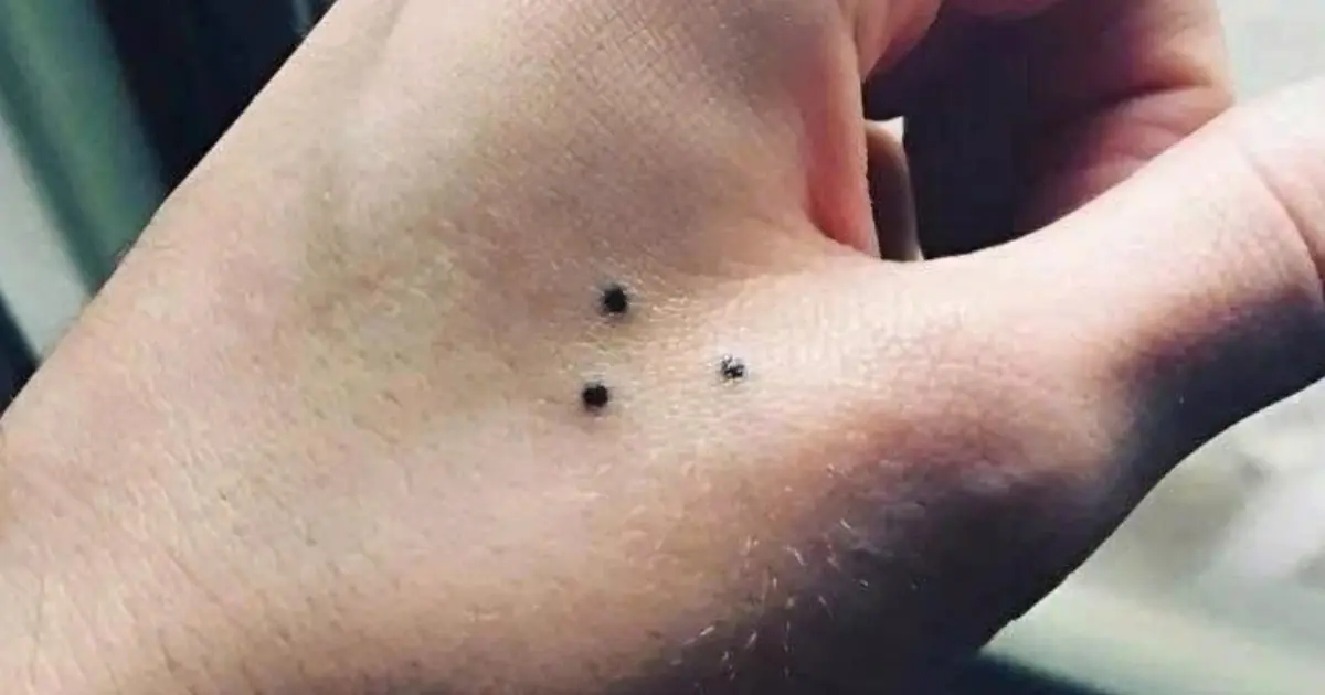Three Dots, Many Meanings: The Truth Behind the Three-Point Tattoo