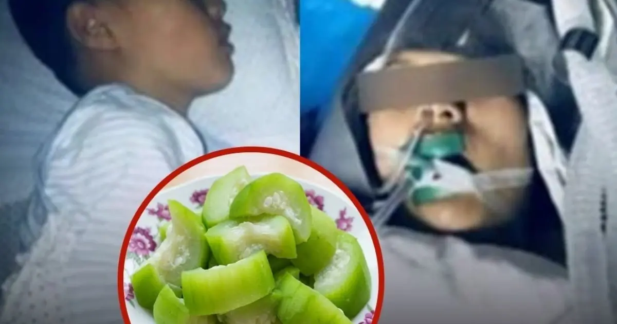 Doctors Warn This “Bitter Vegetable” May Be More To.xic Than Arsenic If Eaten Incorrectly