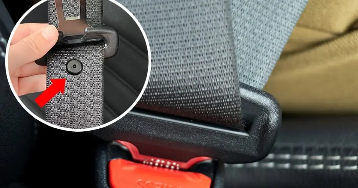 Some Drivers Are Just Finding Out What the Button on Their Seatbelt Is Actually For