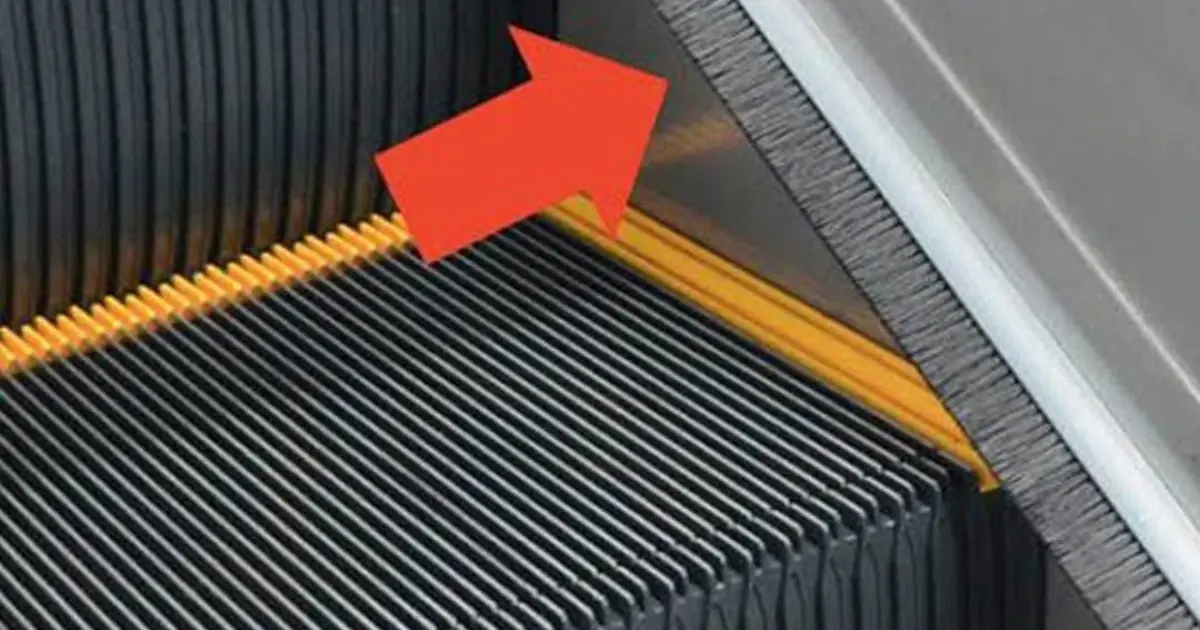 Why Escalators Have Brushes on the Sides: The Surprising Safety Feature Most People Overlook