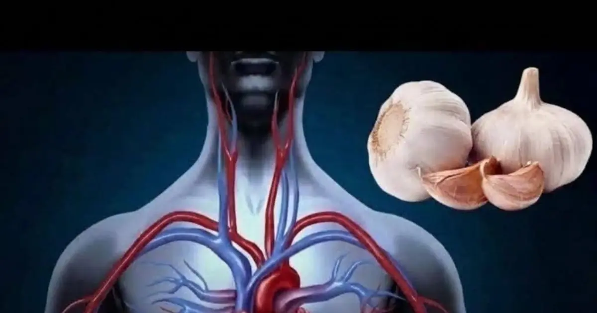 He Started Eating One Raw Garlic Clove Every Morning at 58 - What Happened Next Was Surprising