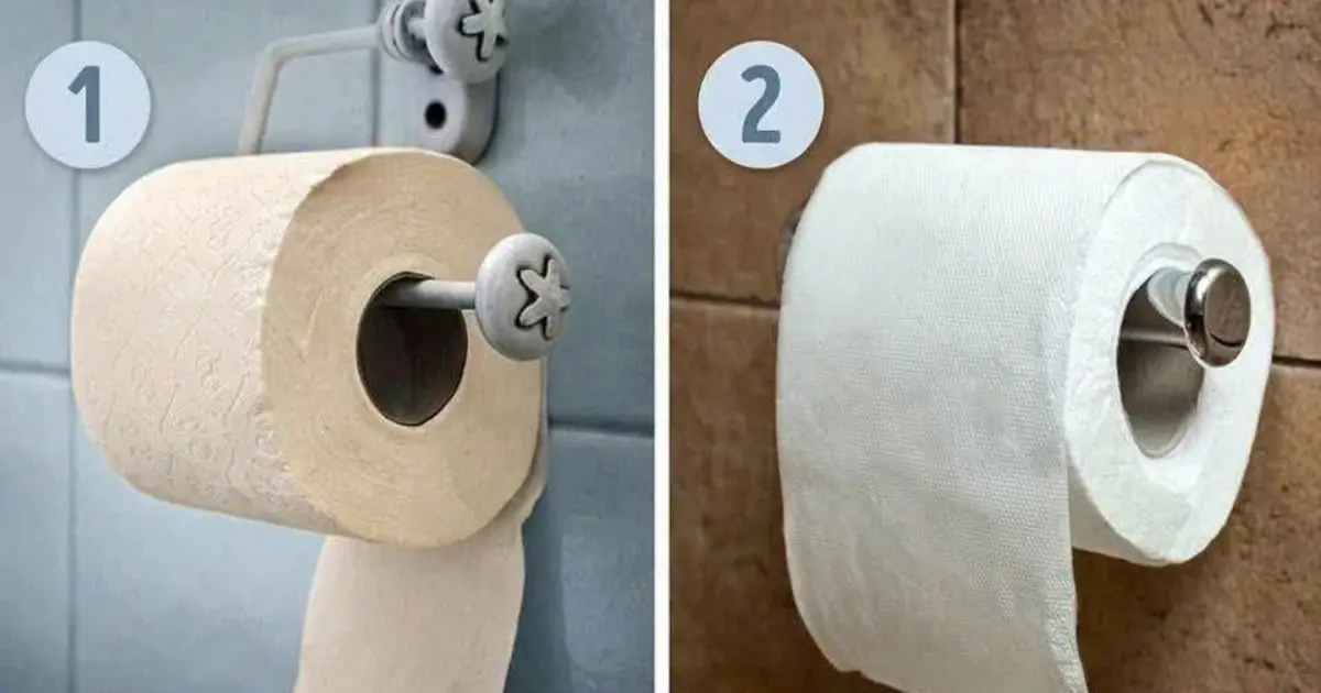 The Great Toilet Paper Debate: Which Way Is Actually Correct?