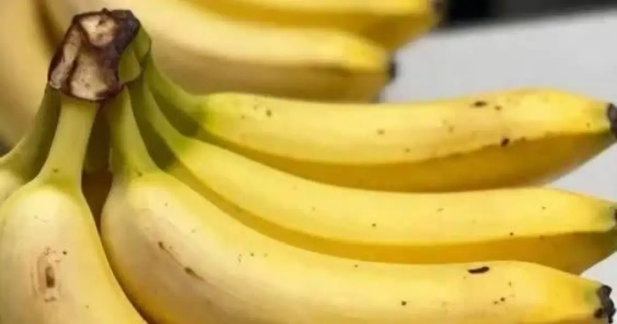 If you’re over 70, Doctors Reveal That Eating Bananas Causes .... See more