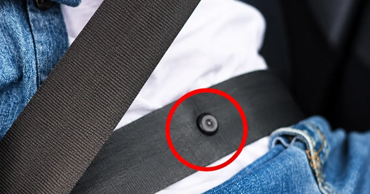 Here's What the Little Button on Your Seat Belt Is Really For
