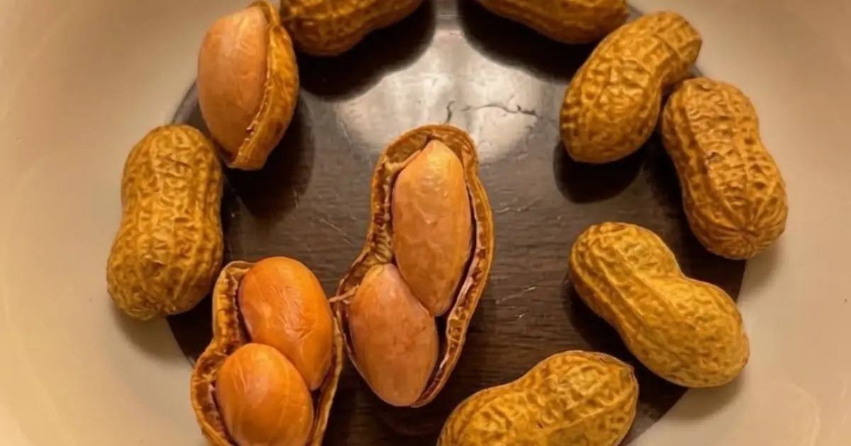 Too Much of a Good Thing? What Health Experts Say About Peanuts…