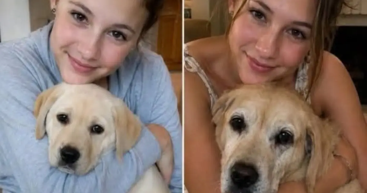 My MIL Wanted My Childhood Dog Gone - Then Everything Changed