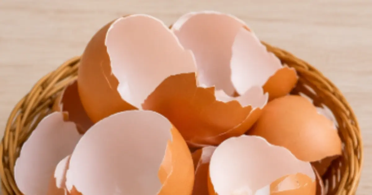 You’ve Been Throwing Away Eggshells All Along - Here Are Some Clever Ways to Reuse Them
