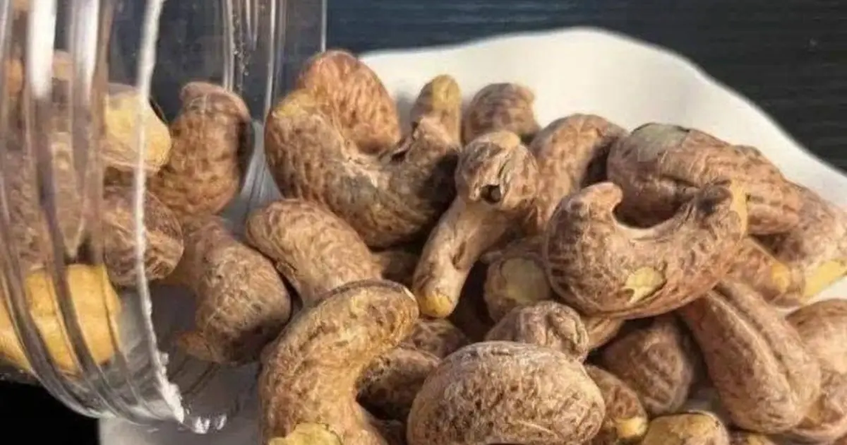Doctors reveal that eating cashew nuts causes... See more 👇